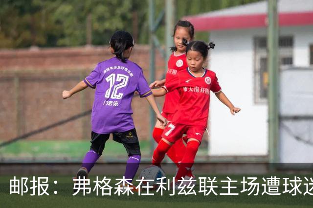 邮报：弗格森在利兹联主场遭球迷辱骂，此前曾有4名骑警护送